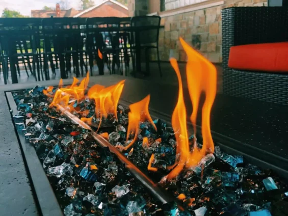 Bernardi’s